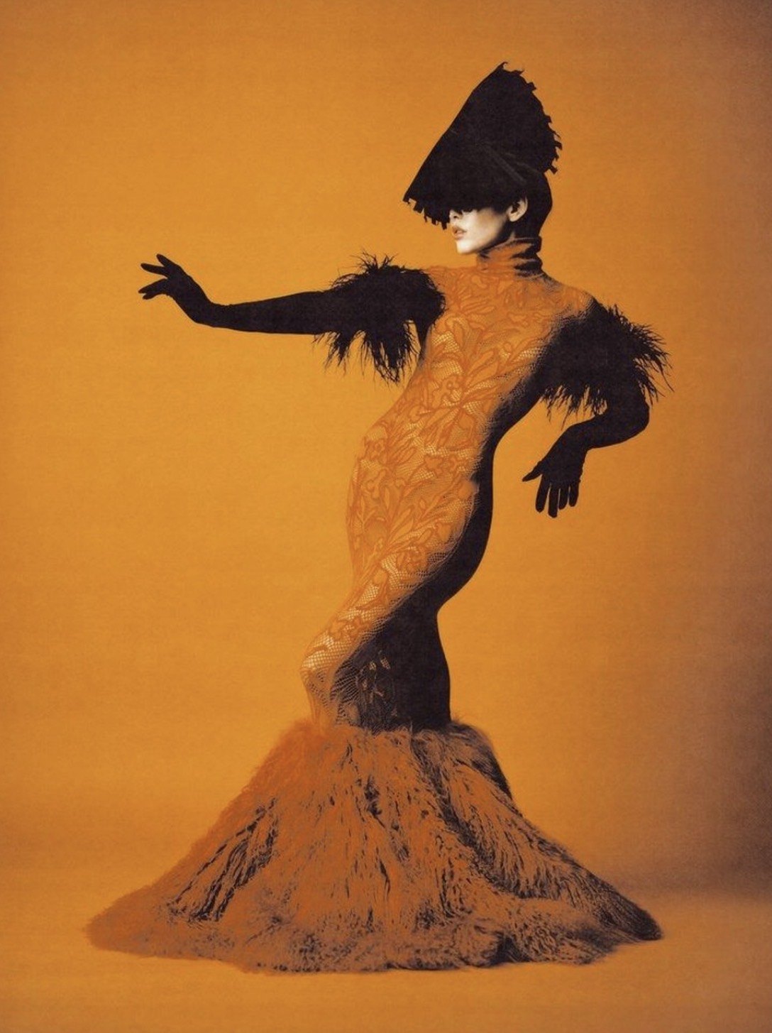 Black lace and feather silhouette on an ochre ground